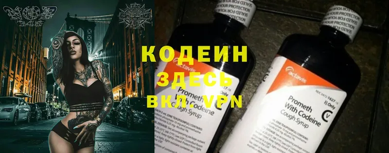 где можно купить наркотик  Морозовск  Кодеиновый сироп Lean Purple Drank 